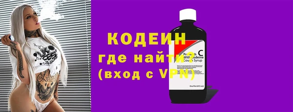 хмурый Каменногорск