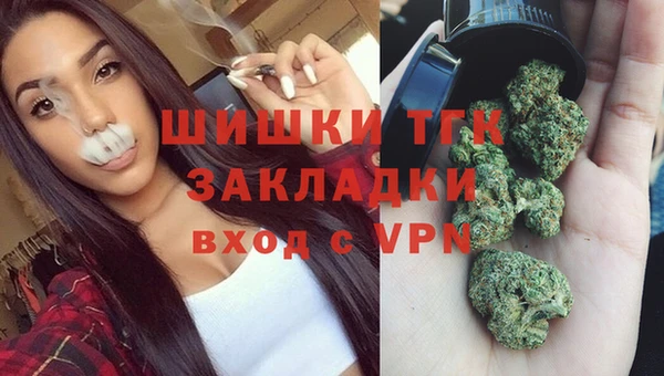 СК Каменка