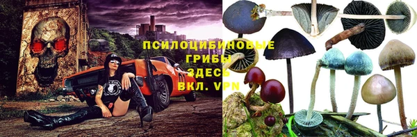 хмурый Каменногорск