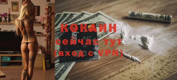 хмурый Каменногорск