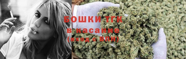 хмурый Каменногорск