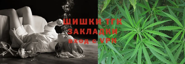 шишки Надым