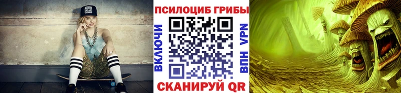 купить наркоту  mega как войти  Галлюциногенные грибы Psilocybine cubensis  Мураши 